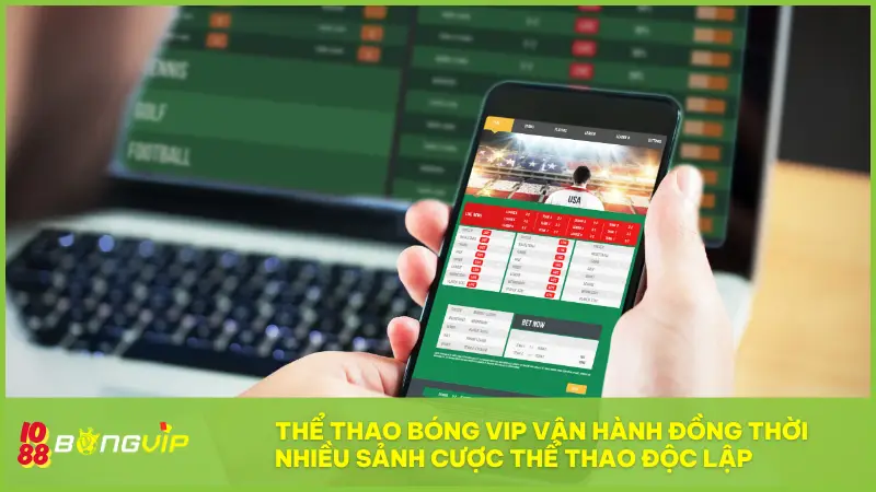 Sảnh Thể Thao Bóng Vip - Cược là có kèo, vào là có lộc! 4 Thể thao Bóng Vip đang vận hành đồng thời nhiều sảnh cược thể thao độc lập